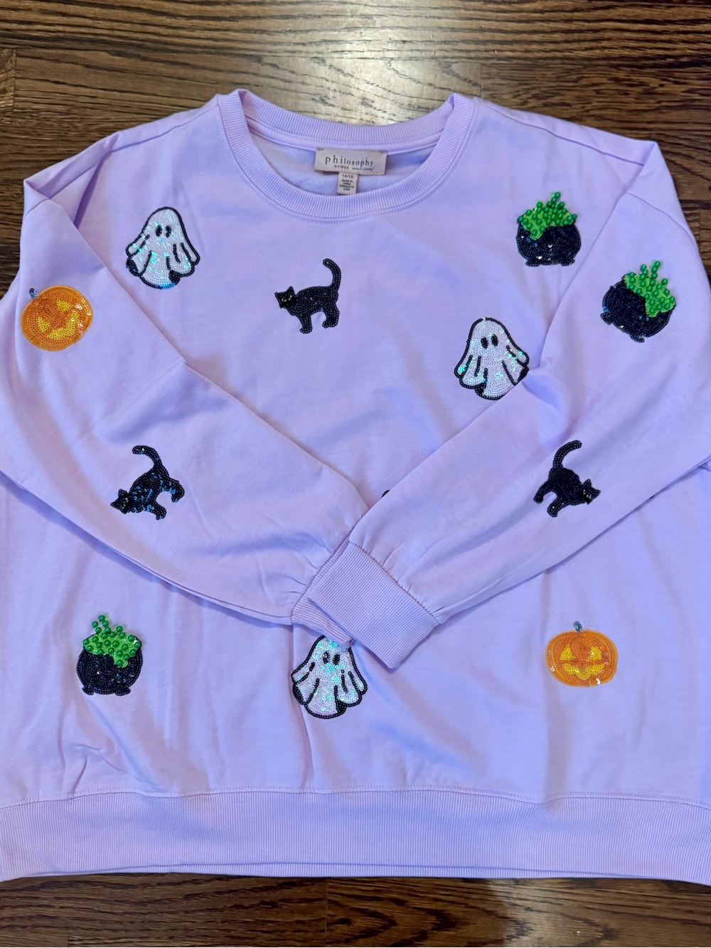 Philosophy Halloween Sequin Sweatshirt- Black Cat, Ghosts, Pumpkins & Witch Brew